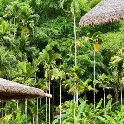 【琼】→ 呀喏达_6_無觀自在_来自小红书网页版